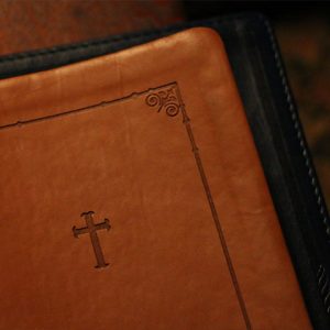 f5odupfciaq-colin-carey-t Acts 28-Day